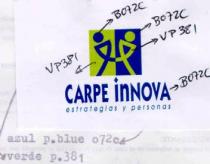 CARPE INNOVA ESTRATEGIAS Y PERSONAS