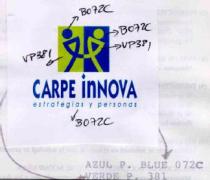 CARPE INNOVA ESTRATEGIAS Y PERSONAS