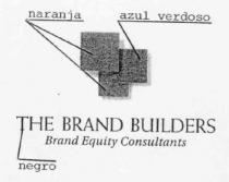 THE BRAND BUILDERS BRAND EQUITY CONSULTANTS