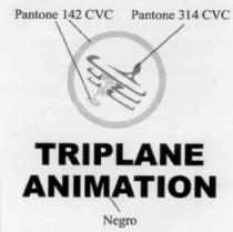 TRIPLANE ANIMATION