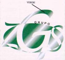 GRUPO ZGS