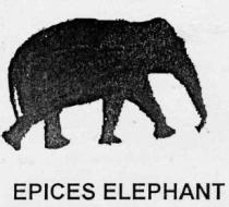 EPICES ELEPHANT