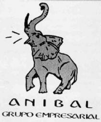 ANIBAL GRUPO EMPRESARIAL