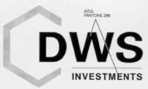 DWS INVESTMENTS