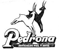 PEDRONA ARTICULOS DE PIEL Y ANTE