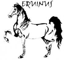 EQUINUS
