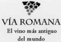 VIA ROMANA EL VINO MAS ANTIGUO DEL MUNDO