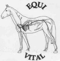 EQUI VITAL