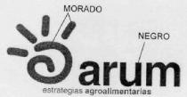 ARUM ESTRATEGIAS AGROALIMENTARIAS