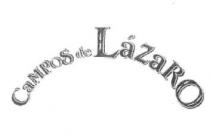 CAMPOS DE LAZARO