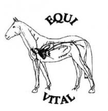 EQUI VITAL