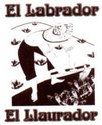 EL LABRADOR EL LLAURADOR