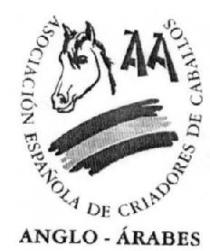 AA ASOCIACION ESPAÑOLA DE CRIADORES DE CABALLOS ANGLO-ARABES