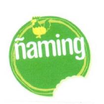 ÑAMING