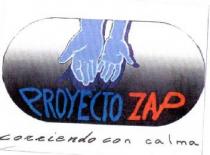 PROYECTO ZAP CORRIENDO CON CALMA