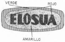ELOSUA
