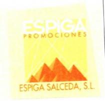 PROMOCIONES ESPIGA SALCEDA, S.L.
