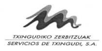 TXINGUDIKO ZERBITZUAK SERVICIOS DE TXINGUDI, S.A.