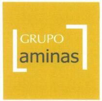 GRUPO LAMINAS