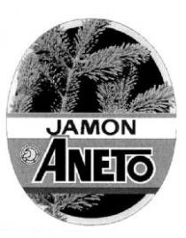 JAMON ANETO