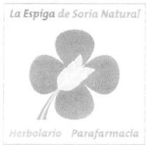 LA ESPIGA DE SORIA NATURAL HERBOLARIO PARAFARMACIA