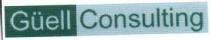GUELL CONSULTING
