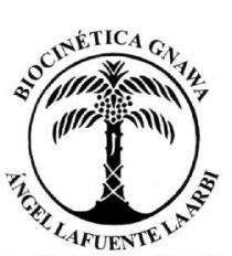 BIOCINETICA GNAWA ANGEL LAFUENTE LAARBI