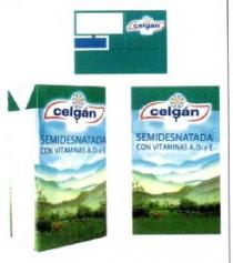 CELGAN SEMIDESNATADA CON VITAMINAS A, D3 Y E