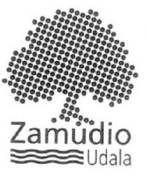 ZAMUDIO UDALA