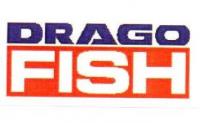 DRAGO FISH