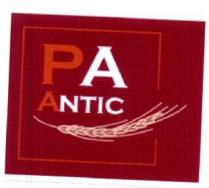 PA ANTIC