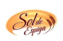 SOL DE ESPIGA