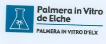 PALMERA IN VITRO DE ELCHE PALMERA IN VITRO D'ELX