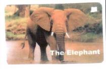 THE ELEPHANT