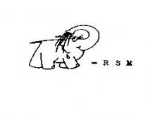 RSM