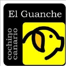 COCHINO GUANCHE