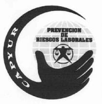 CAPYUR PREVENCION DE RIESGOS LABORALES