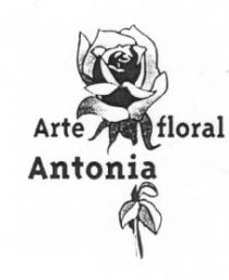 ARTE FLORAL ANTONIA