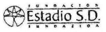 FUNDACION ESTADIO S.D. FUNDAZIOA
