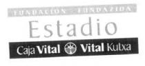 FUNDACION FUNDAZIOA ESTADIO CAJA VITAL VITAL KUTXA