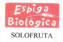 ESPIGA BIOLOGICA SOLOFRUTA