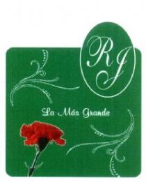 RJ LA MAS GRANDE