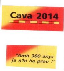 CAVA 2014 