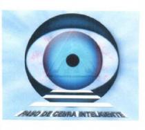 PASO DE CEBRA INTELIGENTE