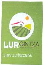 LURGINTZA KOOPERATIBA ELKARTEA ZURE ZERBITZURA!
