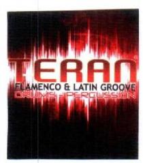 TERAN FLAMENCO & LATIN GROOVE