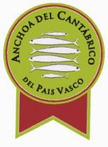 ANCHOA DEL CANTABRICO DEL PAIS VASCO