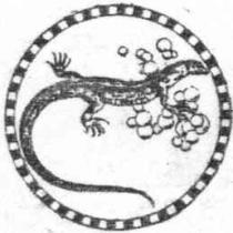 LAGARTO