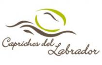 CAPRICHOS DEL LABRADOR