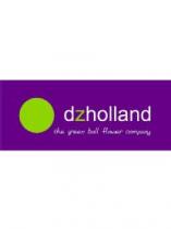 DZHOLLAND THE GREEN BALL FLOWER COMPANY